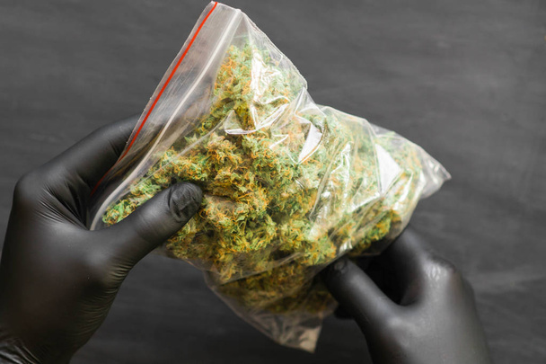 Big Package weed in hand. Beaucoup de marijuana Paquet avec de l'herbe
 - Photo, image