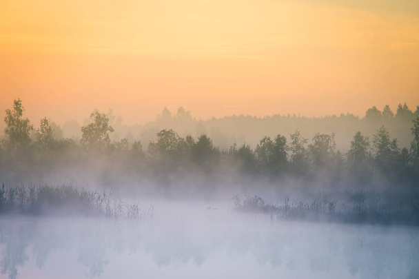 Een mooie, kleurrijke landschap van een mistige moeras tijdens de Sunrise periode. Sfeervolle, rustige wetland landschap met zon in Letland, Noord-Europa. - Foto, afbeelding