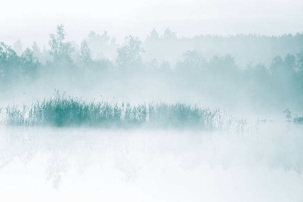 日の出中に霧の沼の美しい、カラフルな風景。ラトビア、北ヨーロッパの太陽と大気、静かな湿原の風景. - 写真・画像
