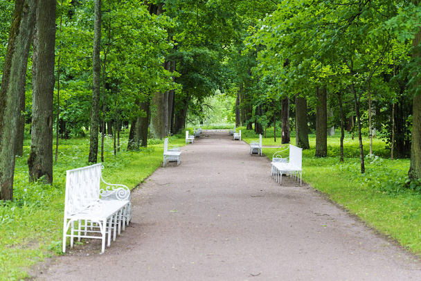 Πάρκο το καλοκαίρι με λευκά παγκάκια και μονοπάτια σε μια ηλιόλουστη ημέρα. - Φωτογραφία, εικόνα