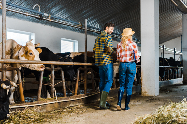 back view of couple of farmers walking in stable with cows - Photo, Image