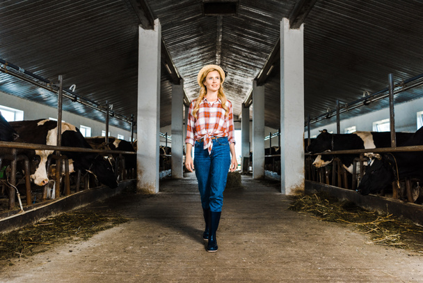 attractive farmer walking in stable with cows and looking away - Фото, изображение