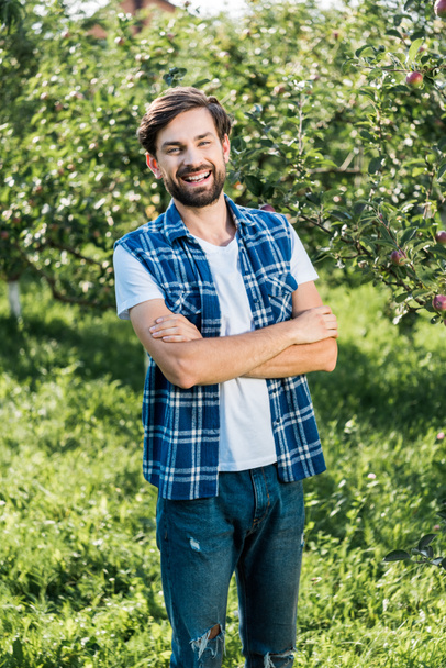 laughing handsome farmer standing with crossed arms in apple garden at farm - Photo, Image