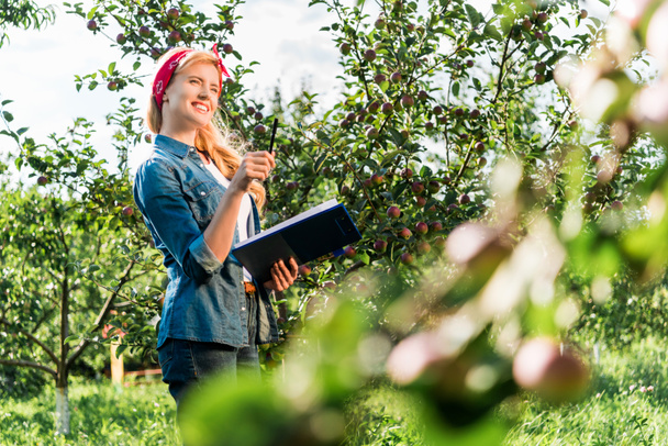 attractive farmer checking harvest in apple garden at farm - Фото, изображение