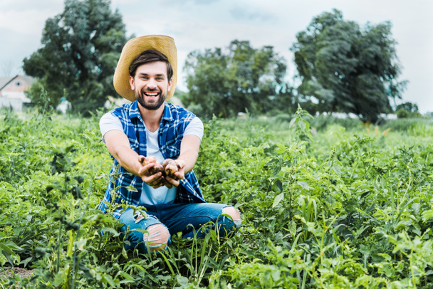 όμορφος ευτυχισμένος αγρότη δείχνει ώριμα πατάτες στα χέρια στο πεδίο  - Φωτογραφία, εικόνα