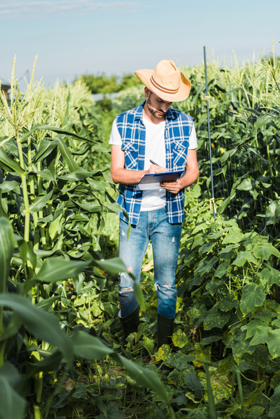 handsome farmer in straw hat checking harvest with clipboard in field at farm - Фото, зображення