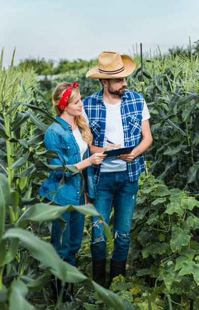 couple d'agriculteurs vérifiant la récolte avec presse-papiers dans le champ à la ferme
  - Photo, image
