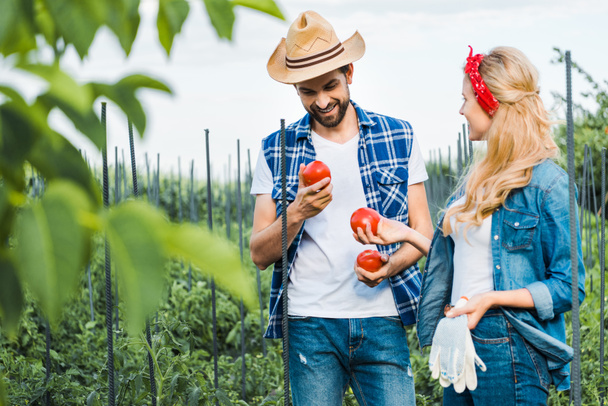 happy couple of farmers holding ripe tomatoes in field at farm  - Photo, Image