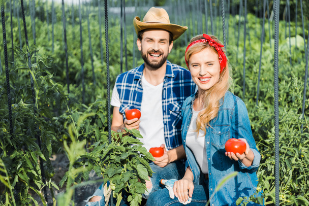 happy couple of farmers holding ripe tomatoes in field at farm and looking at camera - Photo, Image