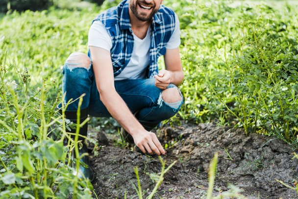 Skadrowana uśmiechający się rolnik sadzenia nasiona kardamonu w dziedzinie na poziomie farmy - Zdjęcie, obraz