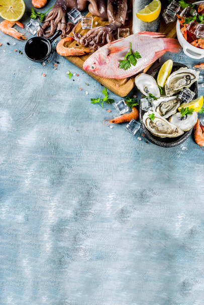 新鮮な生の魚介類イカ エビ カキ ムール貝魚ハーブ レモンのライトブルーのバック グラウンド コピー スペースのスパイス - 写真・画像