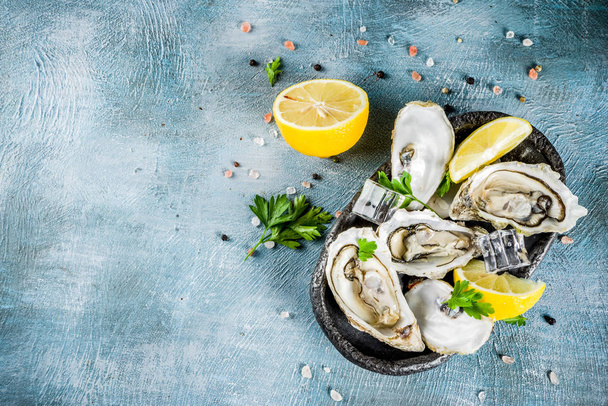 Свіжі сирі морепродукти, устриці з лимоном та льодом на світло-блакитному тлі
 - Фото, зображення
