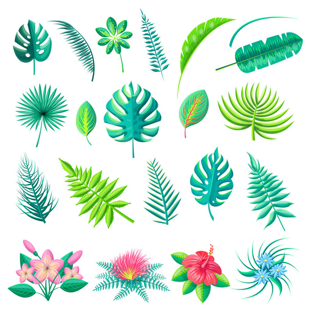 Hojas tropicales y flores Vector Ilustración
 - Vector, Imagen