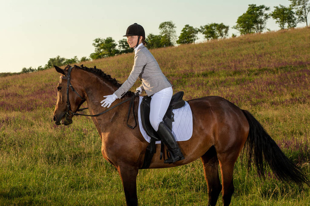 Νεαρή γυναίκα αναβάτη με το άλογό του το απόγευμα το φως του ηλιοβασιλέματος. Εξωτερική φωτογράφηση σε lifestyle διάθεση - Φωτογραφία, εικόνα