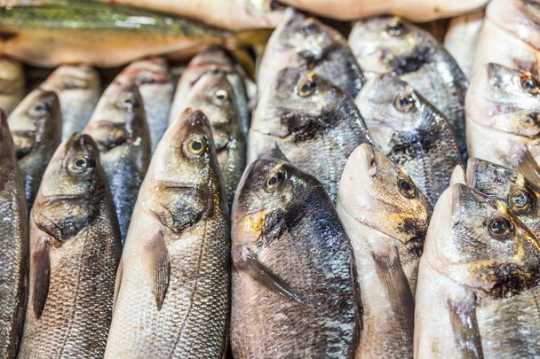 Vari pesce fresco e frutti di mare al mercato del pesce
 - Foto, immagini