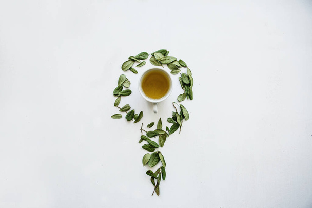 A mug of fragrant and useful herbal tea. A dried herb is lying next to it for cooking - Photo, Image