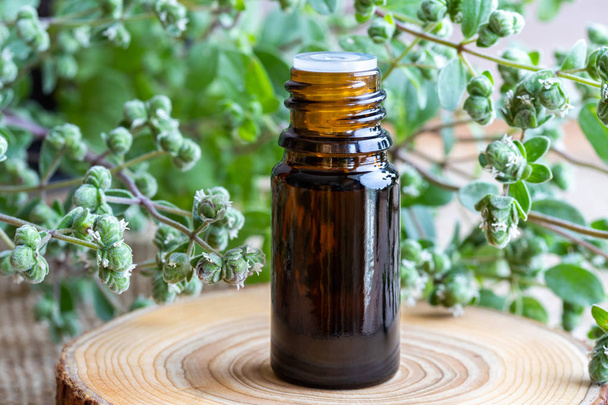 Une bouteille d'huile essentielle avec des brindilles de marjolaine fraîches
 - Photo, image