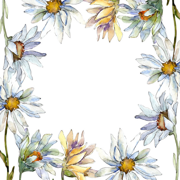 White daisy flowers. Frame border ornament square. Aquarelle wildflower for background, texture, wrapper pattern, frame or border. - Фото, изображение