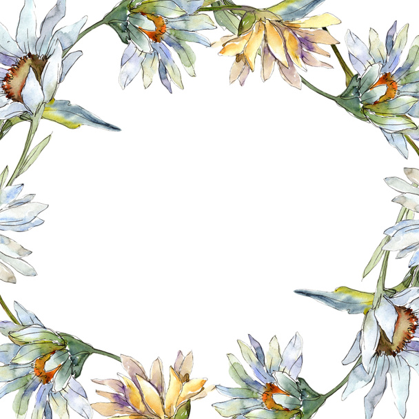 Λευκά λουλούδια Μαργαρίτα. Πλατεία στολίδι περίγραμμα πλαισίου. Ακουαρέλα wildflower για φόντο, υφή, μοτίβο περιτύλιγμα, πλαίσιο ή στα σύνορα. - Φωτογραφία, εικόνα