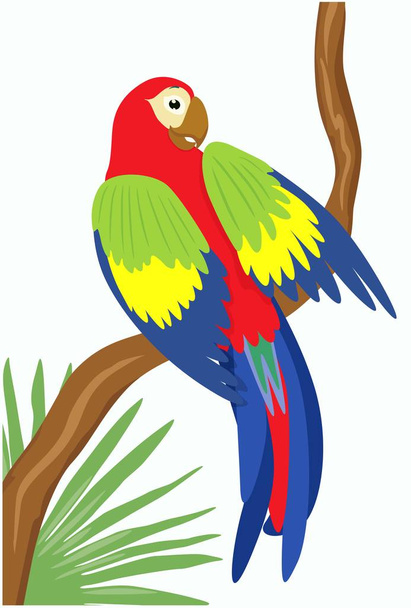 Kleurrijke papegaai op tak. Vogels. Vectorillustratie - Vector, afbeelding