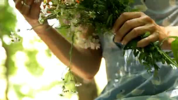 Молодая девушка смотрит на букет полевых цветов
 - Кадры, видео