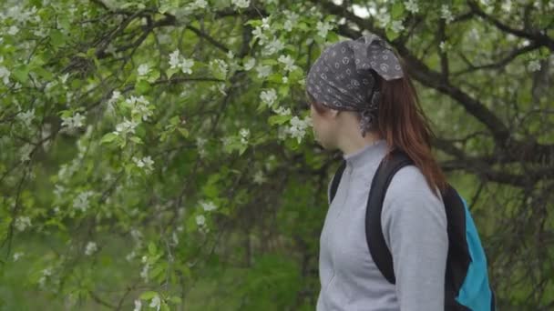 Virágzás ideje. Egy fiatal nő tüsszentés közelében egy almafa, allergia - Felvétel, videó