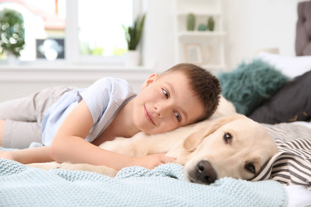 Cute little child with his pet on bed at home - Φωτογραφία, εικόνα