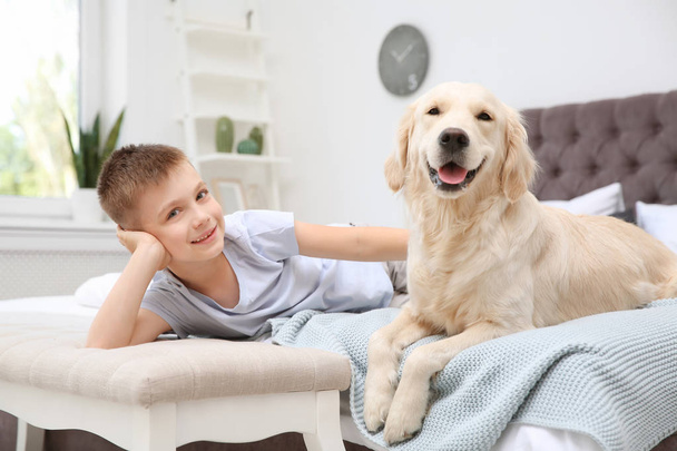 Cute little child with his pet on bed at home - Zdjęcie, obraz