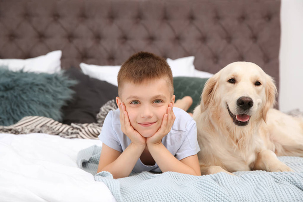 Cute little child with his pet on bed at home - Фото, изображение