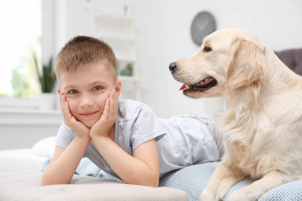 Cute little child with his pet on bed at home - Photo, Image