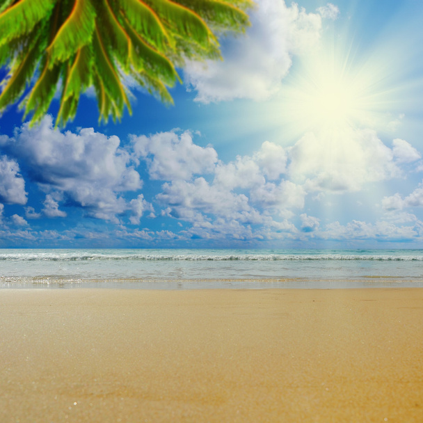 Sunny spiaggia tropicale sull'isola
 - Foto, immagini