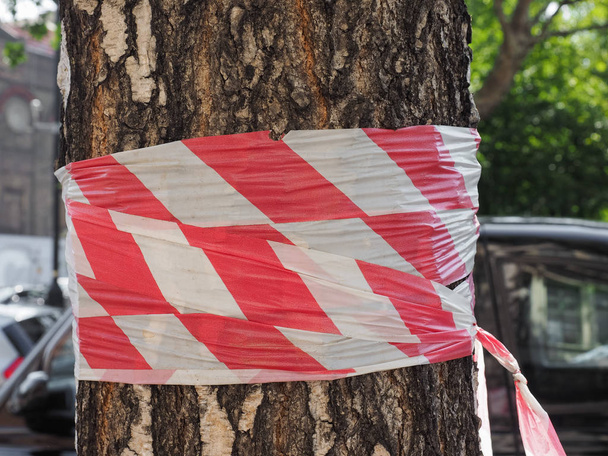 tronco de árvore com fita de barricada sinalização perigo
 - Foto, Imagem