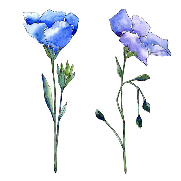 Blue flax flower. Floral botanical flower. Isolated illustration element. Aquarelle wildflower for background, texture, wrapper pattern, frame or border. - Фото, изображение
