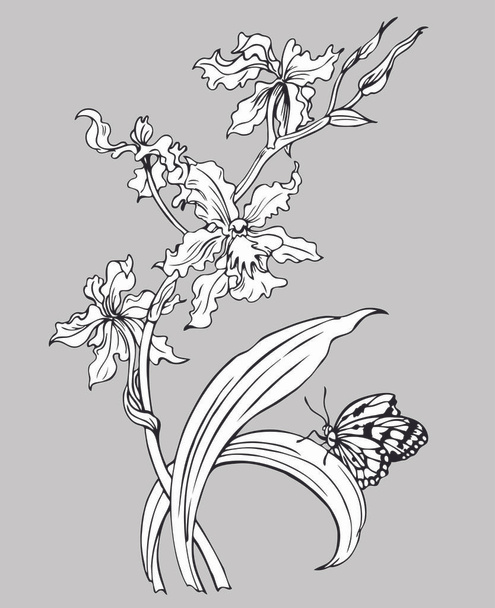 Orchid and cicada, black and white outline drawing. - Vector, imagen