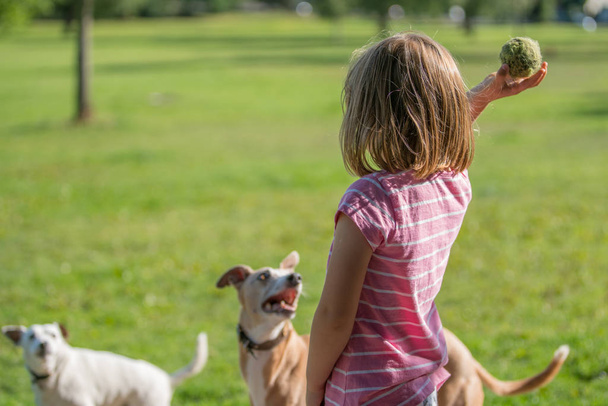 Nuoren valkoihoisen tytön muotokuva seisoo puistossa ja pitelee pientä tennispalloa, joka heitetään koirille jahdattavaksi
 - Valokuva, kuva