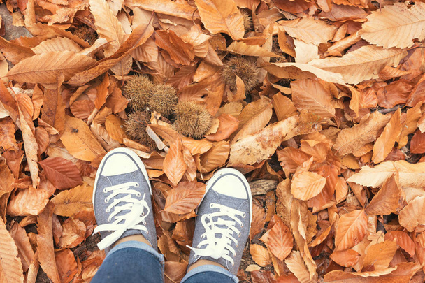 Otoño, otoño, hojas, piernas y zapatos. Imagen conceptual de las piernas en zapatos en las hojas de otoño. Zapatos de pies caminando en la naturaleza
  - Foto, imagen