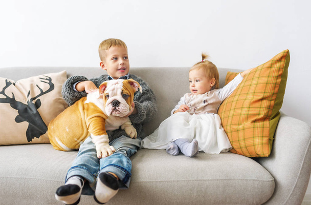 Home Porträt von zwei niedlichen Kindern und großer Bulldogge auf dem Sofa vor weißer Wand. - Foto, Bild
