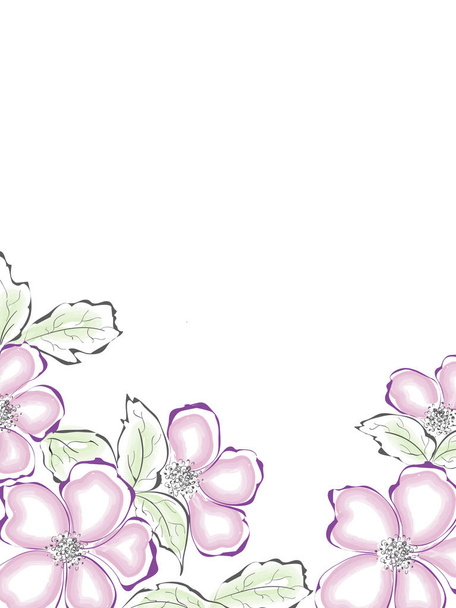 Sakura flowers and leaves decorated on white background with space for your text. - Vektor, obrázek