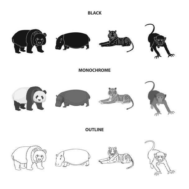 Oso de bambú, hipopótamo, tigre animal salvaje, mono. Animales salvajes set colección iconos en negro, monocromo, contorno estilo vector símbolo stock ilustración web
. - Vector, Imagen