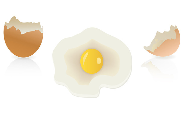 coquilles d'œufs brunes et cassées isolées - Vecteur, image