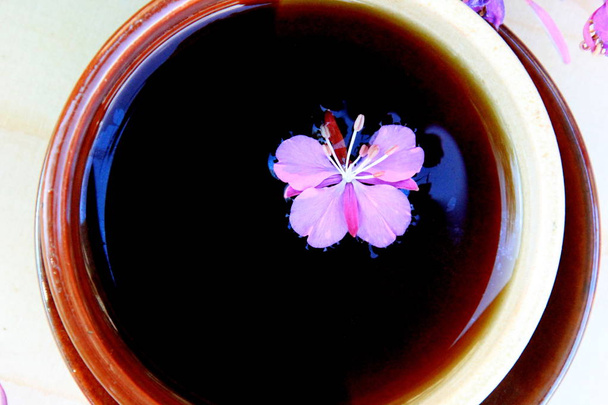 Фиолетово-розовая ивовая трава или дикая трава с камином, используемая для заваривания русского забродившего чая.
 - Фото, изображение