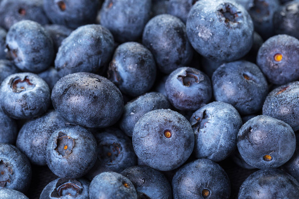 pile of freshly picked blueberries, close-up  - Foto, Imagem