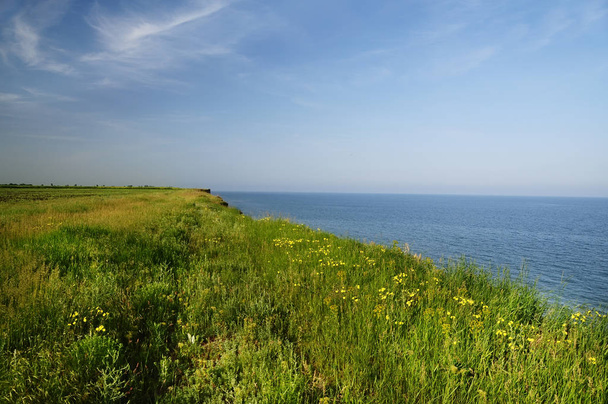 A wild cliff near the sea is overgrown with luscious green grass. - 写真・画像
