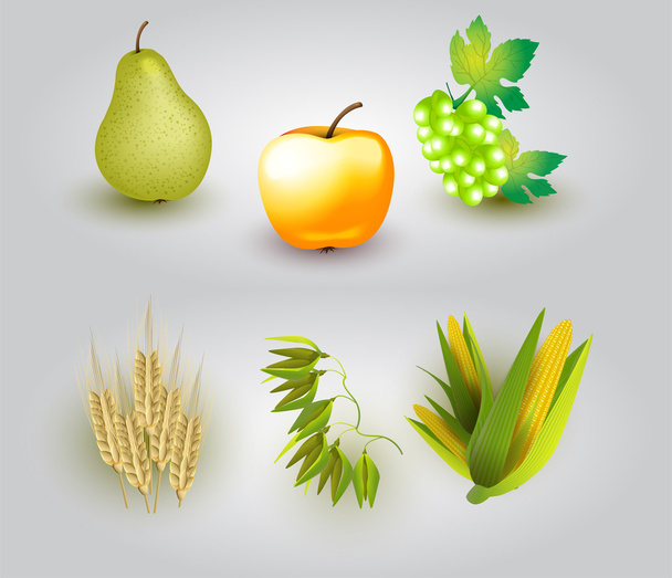 Group of fruit and some ears of wheat. Vector illustration. - Vector, Image