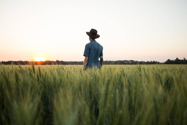 YOung male farmer stand alone in wheat field during sunset  - Fotografie, Obrázek