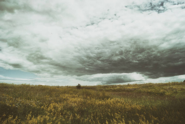 Stormy cirrus cumulus clouds over the vast green meadows. thunderstorm . - Foto, afbeelding