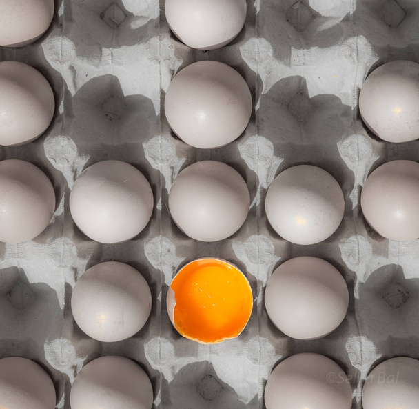 Pracovní minimalismus s vejci - Fotografie, Obrázek