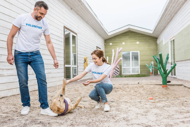 happy volunteers of animals shelter playing with labrador dog - Photo, Image