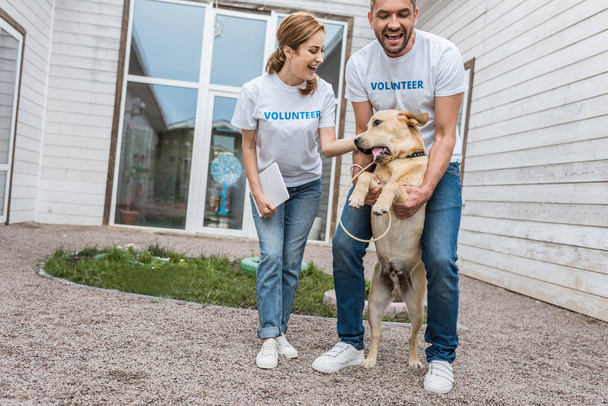 two volunteers of animals shelter having fun with labrador - Photo, Image
