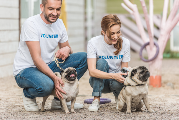 two volunteers of animals shelter palming pug dogs  - Photo, Image